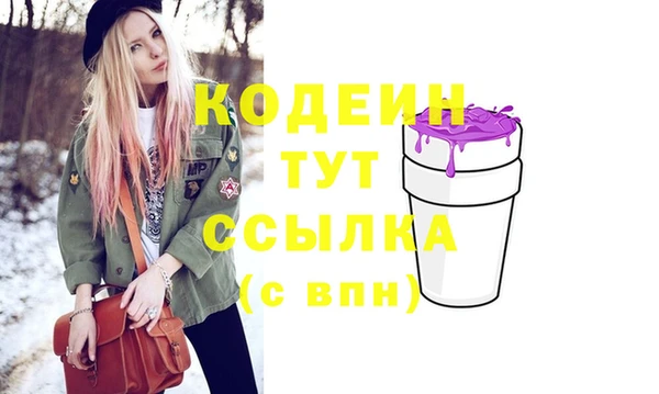 spice Няндома