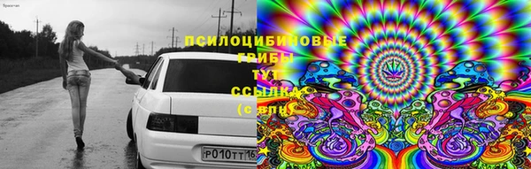 spice Няндома
