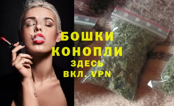 spice Няндома
