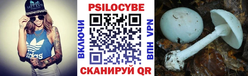 наркошоп  Азов  Псилоцибиновые грибы Psilocybe 