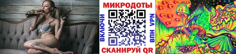 Галлюциногенные грибы Psilocybine cubensis Азов