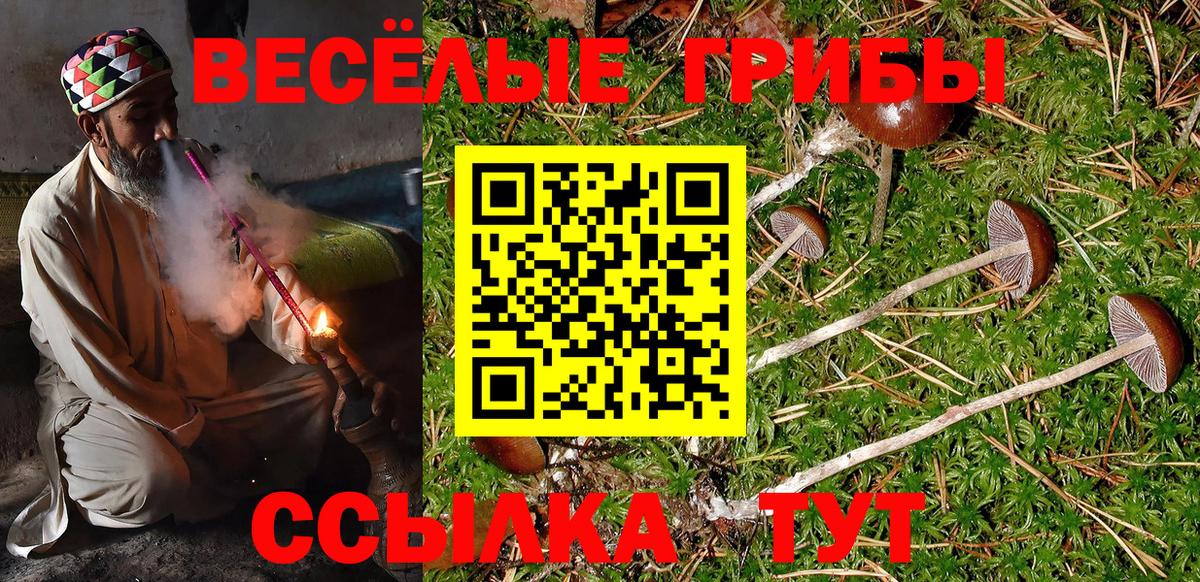 Галлюциногенные грибы прущие грибы Азов